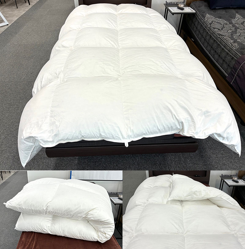 数量限定の羽毛布団特価品 ～ベット専門店・新井家具ベッド館へ