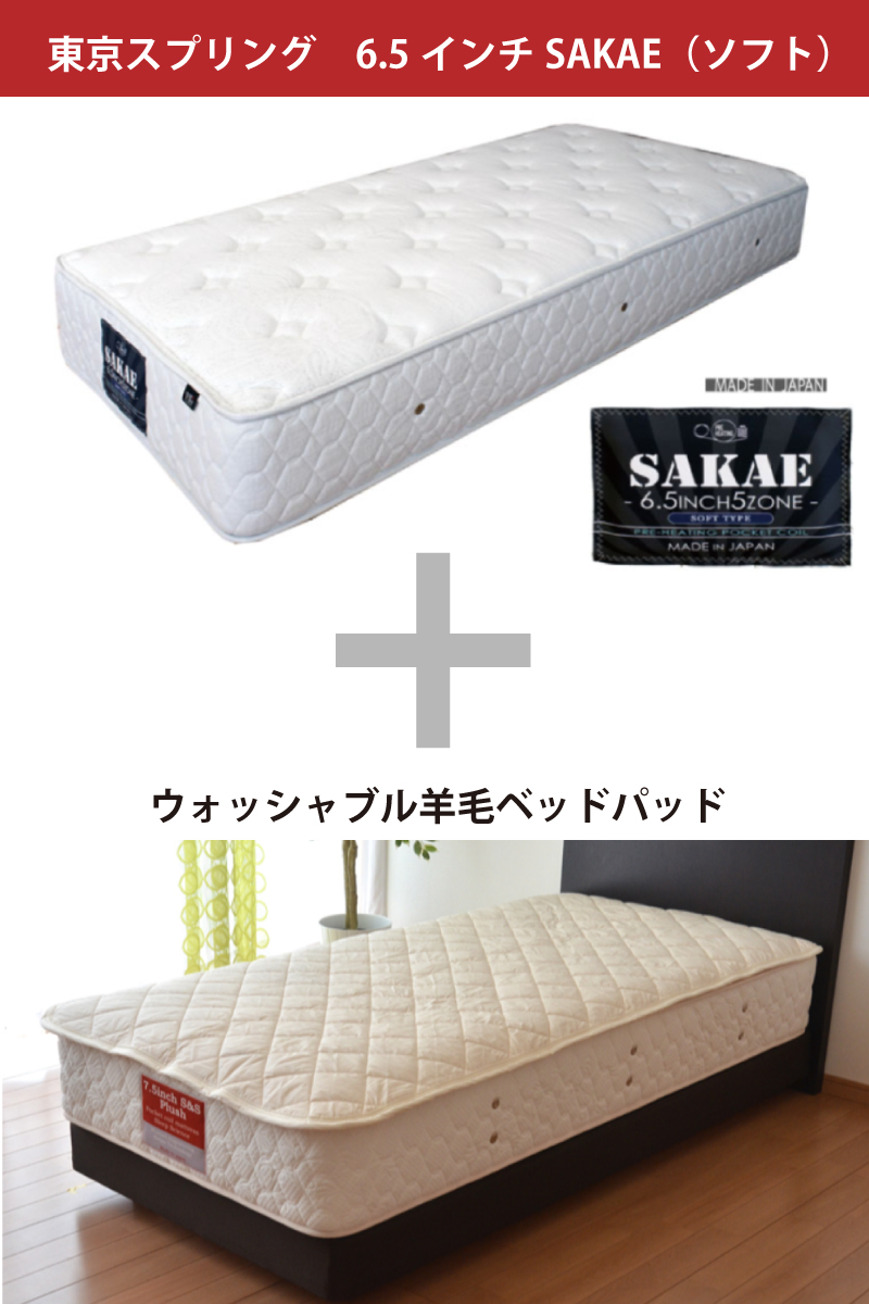 東京スプリング 6.5インチSAKAE(ソフト)
