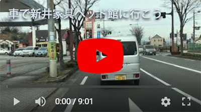 その29